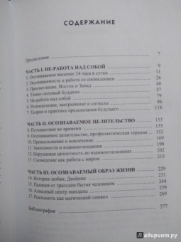 Арнольд Минделл: Сновидение в бодрствовании. Методы 24-часового осознаваемого сновидения в психотерапии