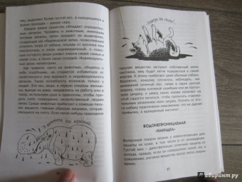 Борис Сергеев: Как устроен человек