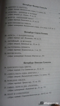 Вячеслав Недошивин: Прогулки по Серебряному веку. Санкт-Петербург