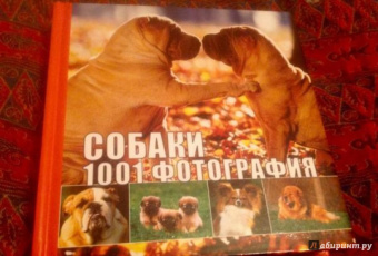Собаки. 1001 фотография