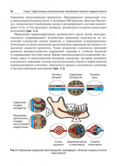 Дурново, Успенская, Мишина: Стоматология. Учебник