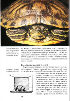 Райнер Прашага: Красноухие черепахи. Содержание и уход