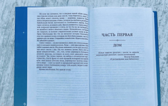 Рут Озеки: Книга формы и пустоты
