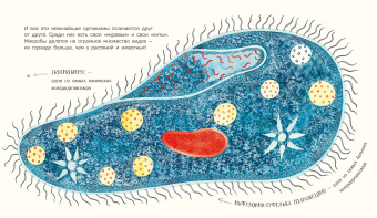 Никола Дэвис: Микро. Тайная жизнь невидимого мира