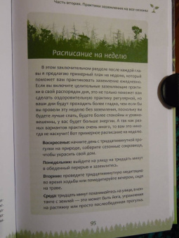 Лаура Конивер: Целительные рецепты Земли. Методы заземления для любого времени года