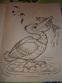 Татьяна Коваль: Живая планета