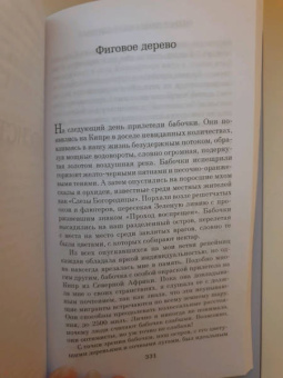 Элиф Шафак: Остров пропавших деревьев