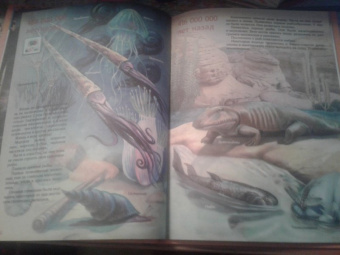 Евстигнеев, Ященко: Кто на свете старше динозавра... или Почему киты живут в воде, а слоны на суше?