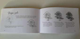 Анна Николаева: Скетчбук по ботанической иллюстрации. Простые пошаговые уроки по рисованию цветов и растений