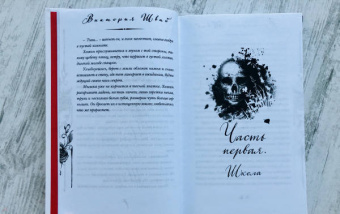 Виктория Шваб: Галлант
