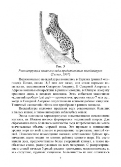 Веселова, Блохина: Биология, систематика и разведение кошачьих. Учебное пособие для вузов