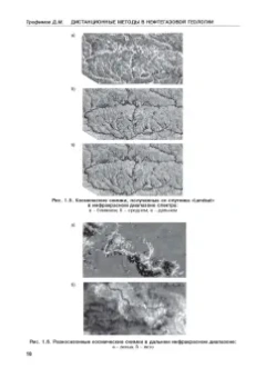 Дмитрий Трофимов: Дистанционные методы в нефтегазовой геологии