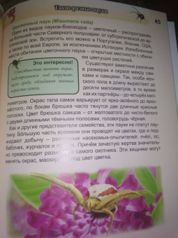 Людмила Соколова: Хочу знать. Пауки