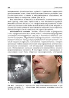 Афанасьев, Абдусаламов, Богатов: Стоматология. Учебник для ВУЗов