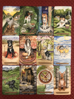 Мюллер, Курара: Таро магических собак + Таро Театр кукол (6080)