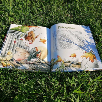 Анна Никольская: Книга чуДОМищ