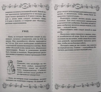 С. Калюжный: Экзотические фрукты и растения:  выращиваем дома круглый год