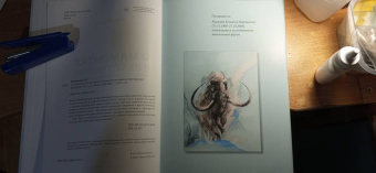 Андрей Шпанский: О мамонтах и их спутниках. Палеоэкология мамонтовой фауны