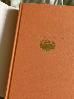 Алексей Толстой: Хождение по мукам