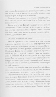 Терри Пратчетт: Шляпа, полная неба