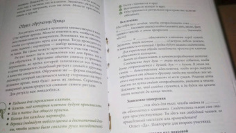 ван дер Ховен Джоанна: Книга странствующего друида. Полное руководство для одинокого искателя