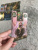 Katz, Гудвин: Fairy Lenormand Oracle