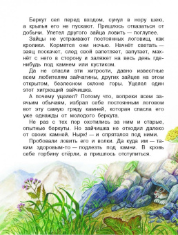 Николай Сладков: Сказки лесной опушки