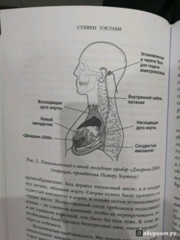 Стивен Уэстаби: Хрупкие жизни. Истории кардиохирурга о профессии, где нет места сомнениям и страху