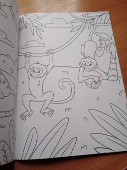 Раскраска "В зоопарке", А4