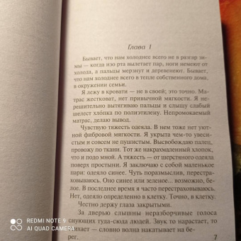 Сью Фортин: Сестра! Сестра?