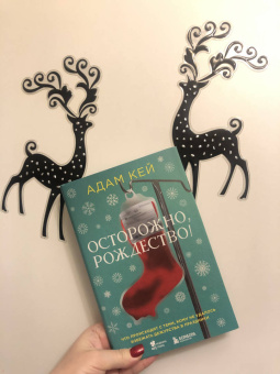 Адам Кей: Осторожно, Рождество! Что происходит с теми, кому не удалось избежать дежурства в праздники