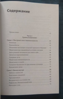 Данг Нгием: Цветы в темноте. Практики, которые помогут исцелиться от травмы и найти опору в себе