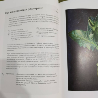 Рейчел Аллен: Суп дня. 120 живительных рецептов. Супы, бульоны, пюре, а также хлеб, крутоны, гренки