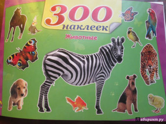 Животные