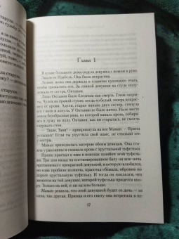 Дженнифер Доннелли: Сестрица