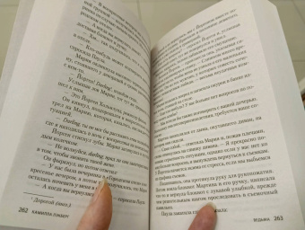 Камилла Лэкберг: Ведьма