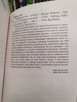 Джоди Пиколт: Второй взгляд