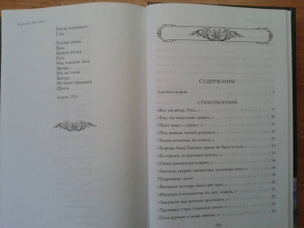 Сергей Есенин: Полное собрание лирики в одном томе