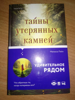Мелисса Пейн: Тайны утерянных камней