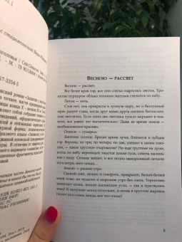 Сэй-Сёнагон: Записки у изголовья