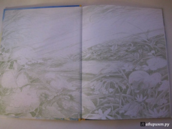 Игорь Шляпка: Весенний завтрак у Моховой Бабушки