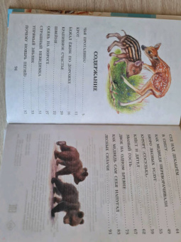 Николай Сладков: Лесные сказки