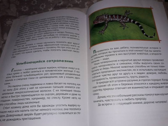 Татьяна Жданова: О том, как животные умеют дружить