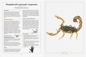 Сэми Бэйли: Энциклопедия опасных животных