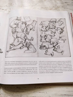 Лоис Барле: Loish. Рисуем шаг за шагом