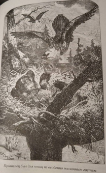 Рид Майн: Письмо и пуля