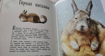 Бен Хоар: Удивительные животные. Энциклопедия