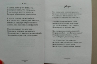 Андрей Дементьев: Яблоки на снегу