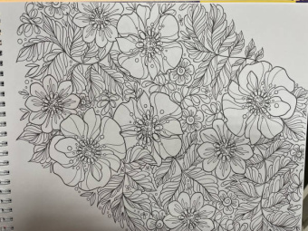 Раскраска антистресс. Цветы прокрастинации