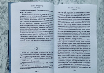 Винс Пассаро: Безумная тоска